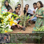 Tree-Plantation-Drive05