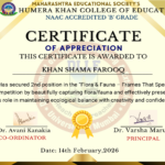 certificates (3)